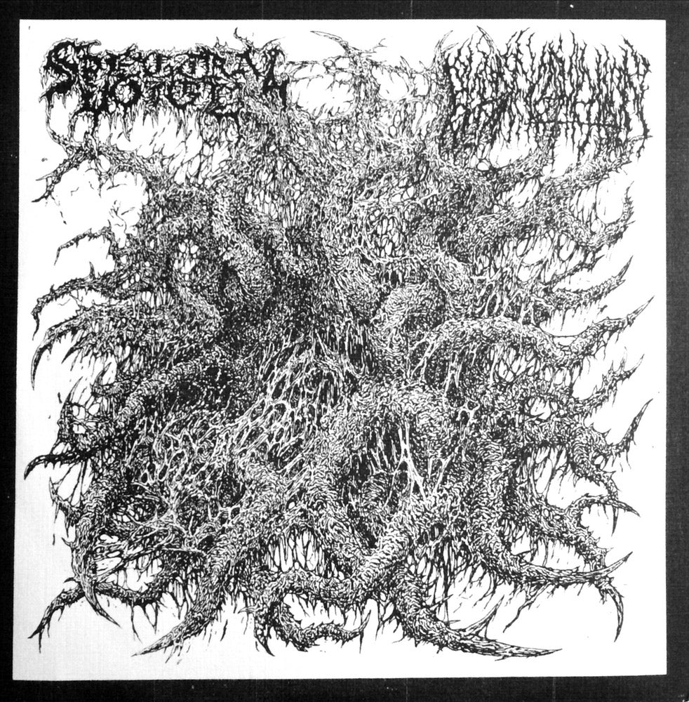 BLOOD INCANTATION / SPECTRAL VOICE "Split" 7"