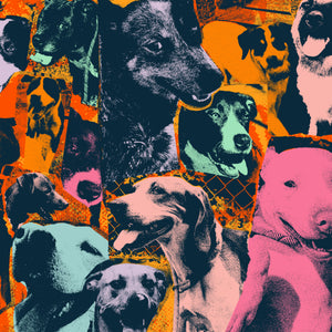 IODINE RECORDS "The Dogs Of Hope" LP