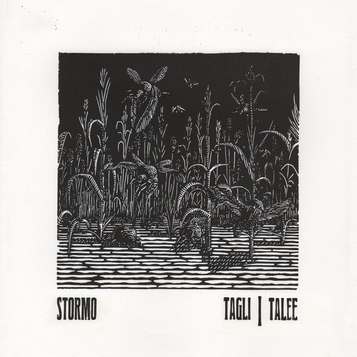 STORMO "Tagli/Talee" CD