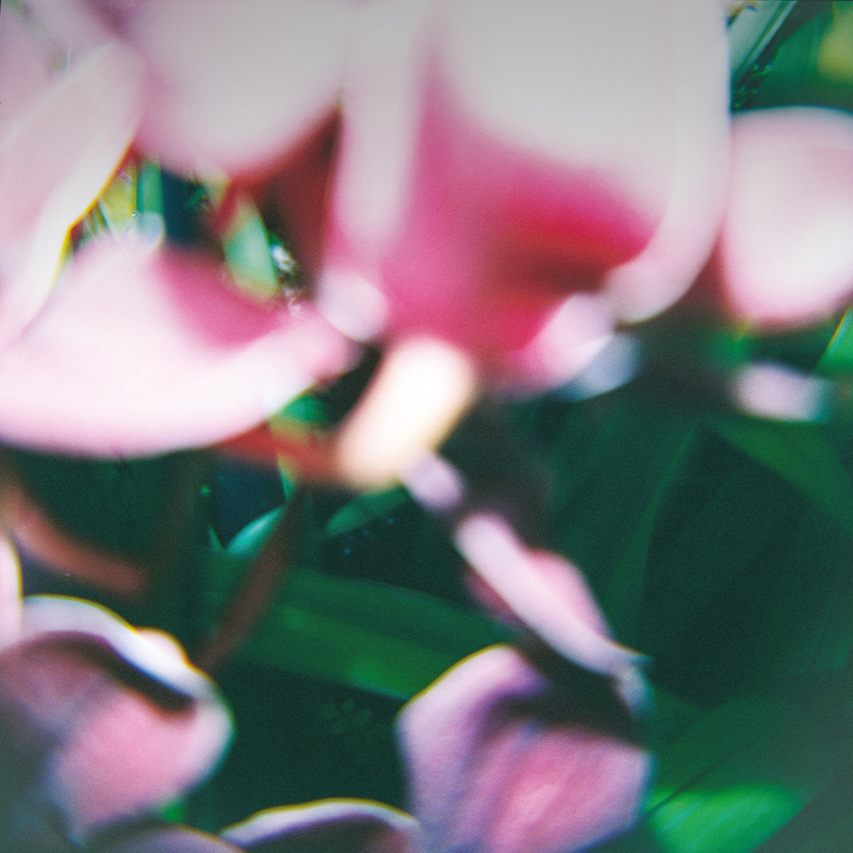 TRADE WIND "You Make Everything Disappear" CD