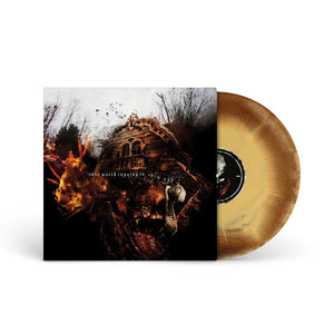 VEIN.FM "This World Is Going To Ruin You" LP