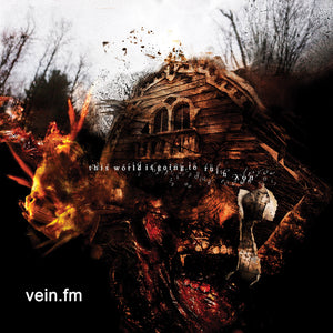 VEIN.FM "This World Is Going To Ruin You" LP